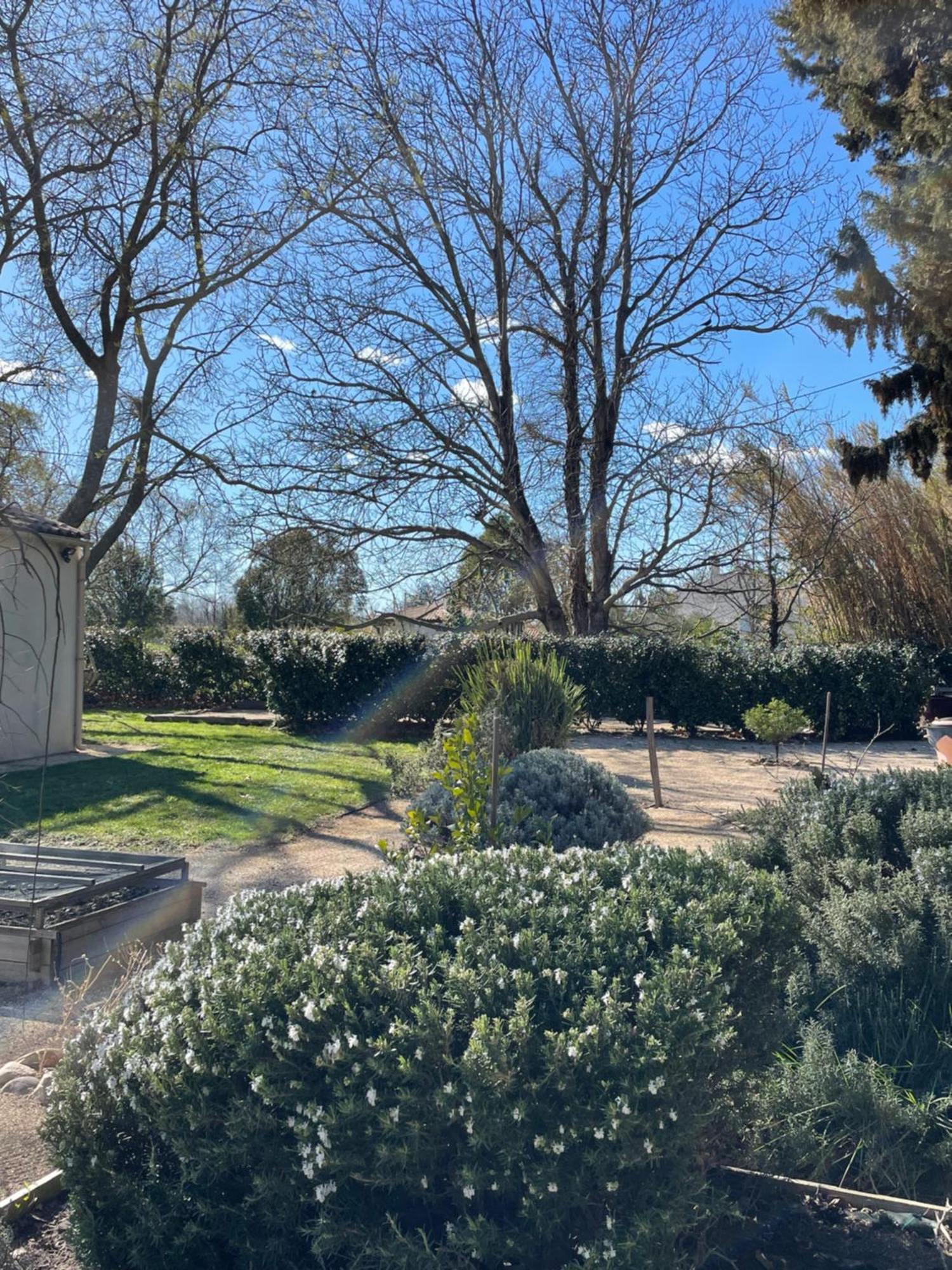 Arles Campagne Location "La Campagn'Arles" Bed & Breakfast Екстериор снимка